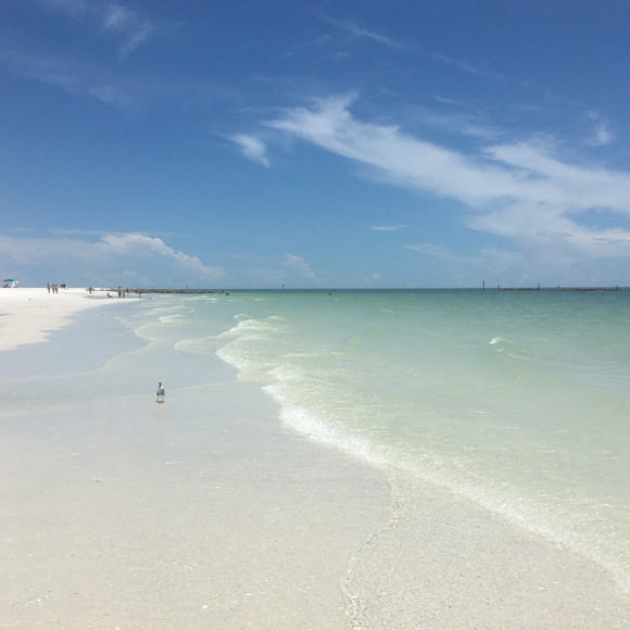 Meet your Posher, Hisecira - Picture 1 of 1